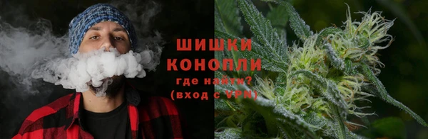 СК Богородск