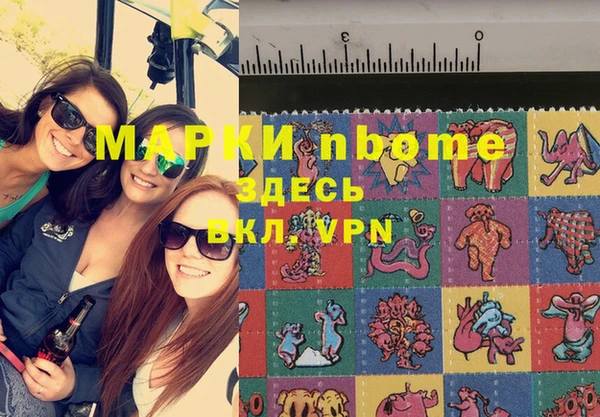 mix Богородицк