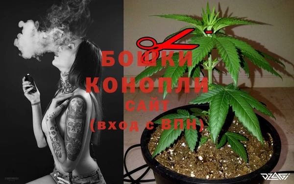 прущий лед Бронницы